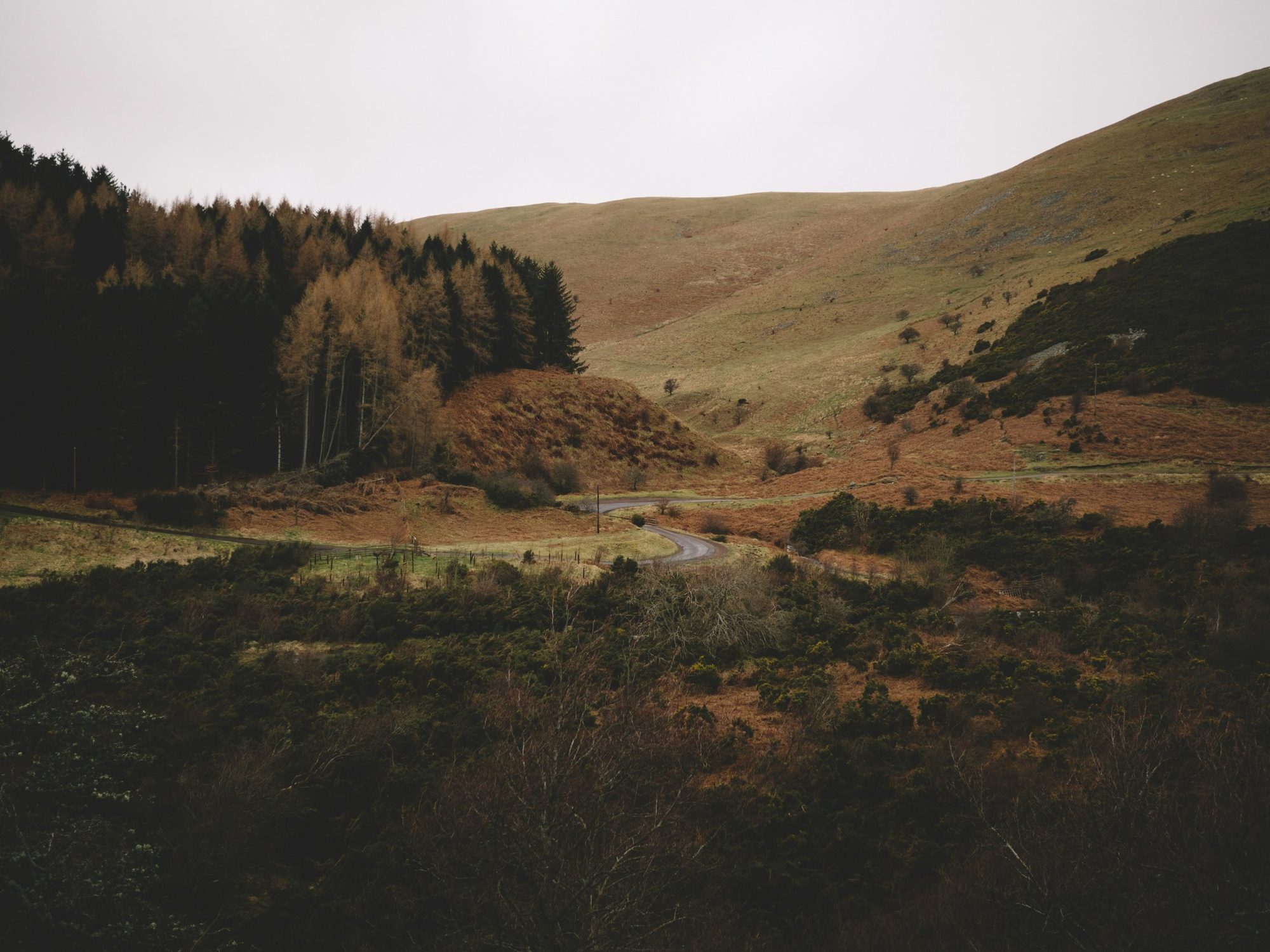 Cheviot 3 Peaks Trekking